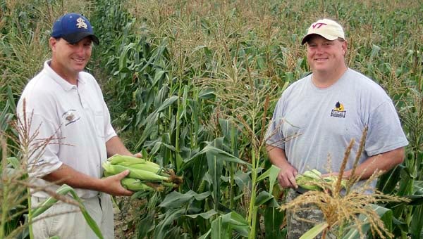 Jeffrey Pope, left, and his brother, Mark, of Cedar View Farms in Dreweryville.  -- CAIN MADDEN/THE TIDEWATER NEWS