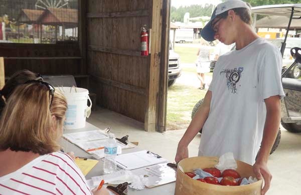 Briggs Simmons, 14, of Sandy Run Farms in Sebrell, watches as Lori McNair writes in his name and entries for the Field Crops, Horticulture, Flowers and Plants Exhibition. -- STEPHEN H. COWLES | TIDEWATER NEWS
