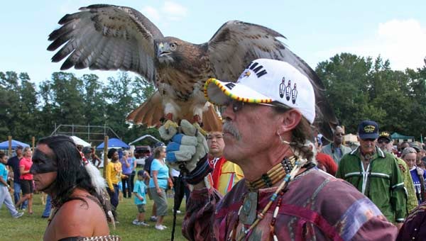 Jimmy Two Hawks Beamer carries a red-tail hawk during grand entry. -- Frank Davis | Submitted