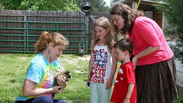 Sara Johnston, left, a board member, holds a baby raccoon as Charlie, Neva, in front, and mother Mandy Hall view the animal.  -- FRANK DAVIS | TIDEWATER NEWSa