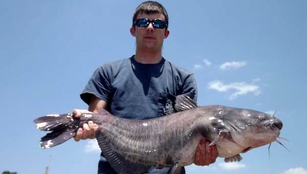 Morgan Story with a 5-pound, 10-ounce catfish that he caught on the Nottoway River during the Christopher D. Ray Public Safety Memorial Scholarship Fishing Tournament. -- STEPHEN H. COWLES | TIDEWATER NEWS