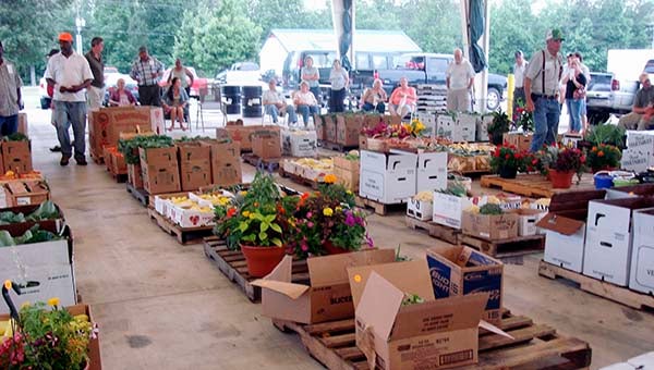 The market is located at 24540 Agri-Park Drive in the Southampton Business Park behind Food Lion in Courtland. -- SUBMITTED