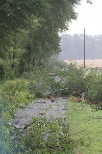 Downed trees cover Indian Woods Trail. Photo by Cain Madden.