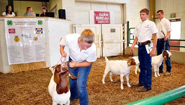 From left, Taylor Cross, 14, of Zuni, Lee Johnson, 15, of Drewryville, and Brandon Raiford, 17, of Franklin, compete in the Senior Fitting and Showing during the 4-H Goat Show. -- SUBMITTED | TABBY RAIFORD