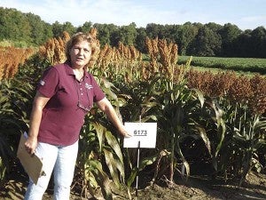 Dr. Maria Balota points to a variety type of sorghum. The plant is used as grain feed for livestock. -- Stephen H. Cowles | Tidewater News