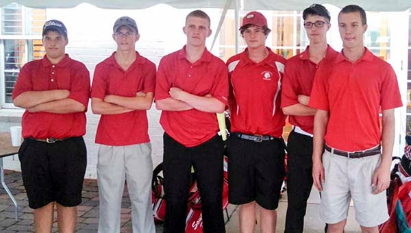The 2014 Southampton High School Golf team has moved on to the regionals in New Kent County. From left, sophomore Chase Johnson, sophomore William Newsome, senior Hunter Peck, senior Brandon Munford, sophomore Brendan Simms and senior Andrew Hauser. -- SUBMITTED