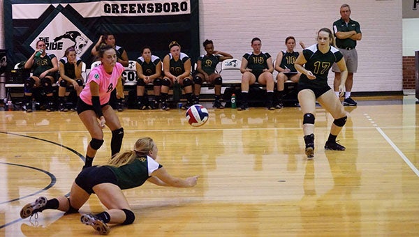 Samantha Billups dives to earn a dig in a volleyball match this past fall.