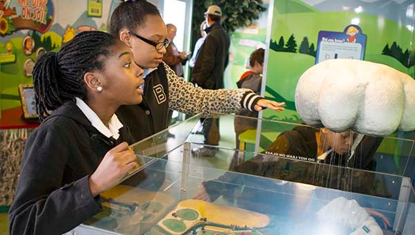 Latavia Picot, left, and Jada Person, both 11, interact with one of the lesson stations in Seed Survivor. -- Cain Madden | Tidewater News