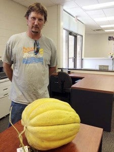 Ricky Atkins of Courtland stands behind this cantaloupe, which won second place at the Franklin-Southampton County Fair. He said it weighed in at 42 pounds and and 2-1/2 ounces. Earlier, the melon was green before ripening to this fragrant bright yellow. -- Stephen H. Cowles | Tidewater News