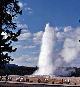 Old Faithful Geyser erupts right on schedule. -- SUBMITTED | ARCHIE HOWELL