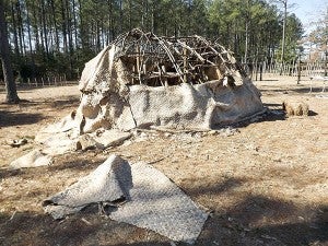 Palm mats that covered a roundhouse within the Indian Palisade Fort were discovered pulled, pushed or cut down. -- Stephen H. Cowles | Tidewater News