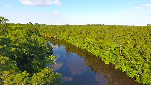 A view of the Blackwater River in the Cherry Grove area as seen by Riverkeeper Jeff Turner's new DJI Phanton 4 drone that he recently acquired. -- Submitted | Jeff Turner