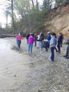 A field trip to Chippokes Plantation State Park in Surry County featured research into geology. — Submitted | Brenda Peters