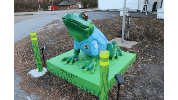 The frog project continues to be hoppin' - The Tidewater News